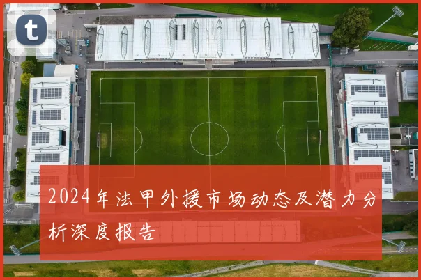 2024年法甲外援市场动态及潜力分析深度报告