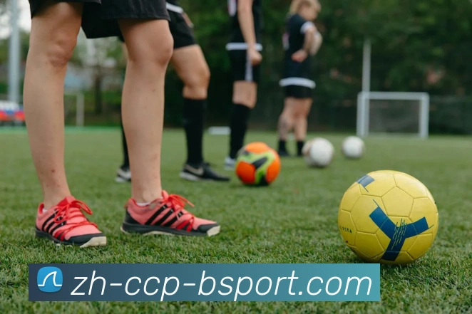 B体育APP 高清赛事图